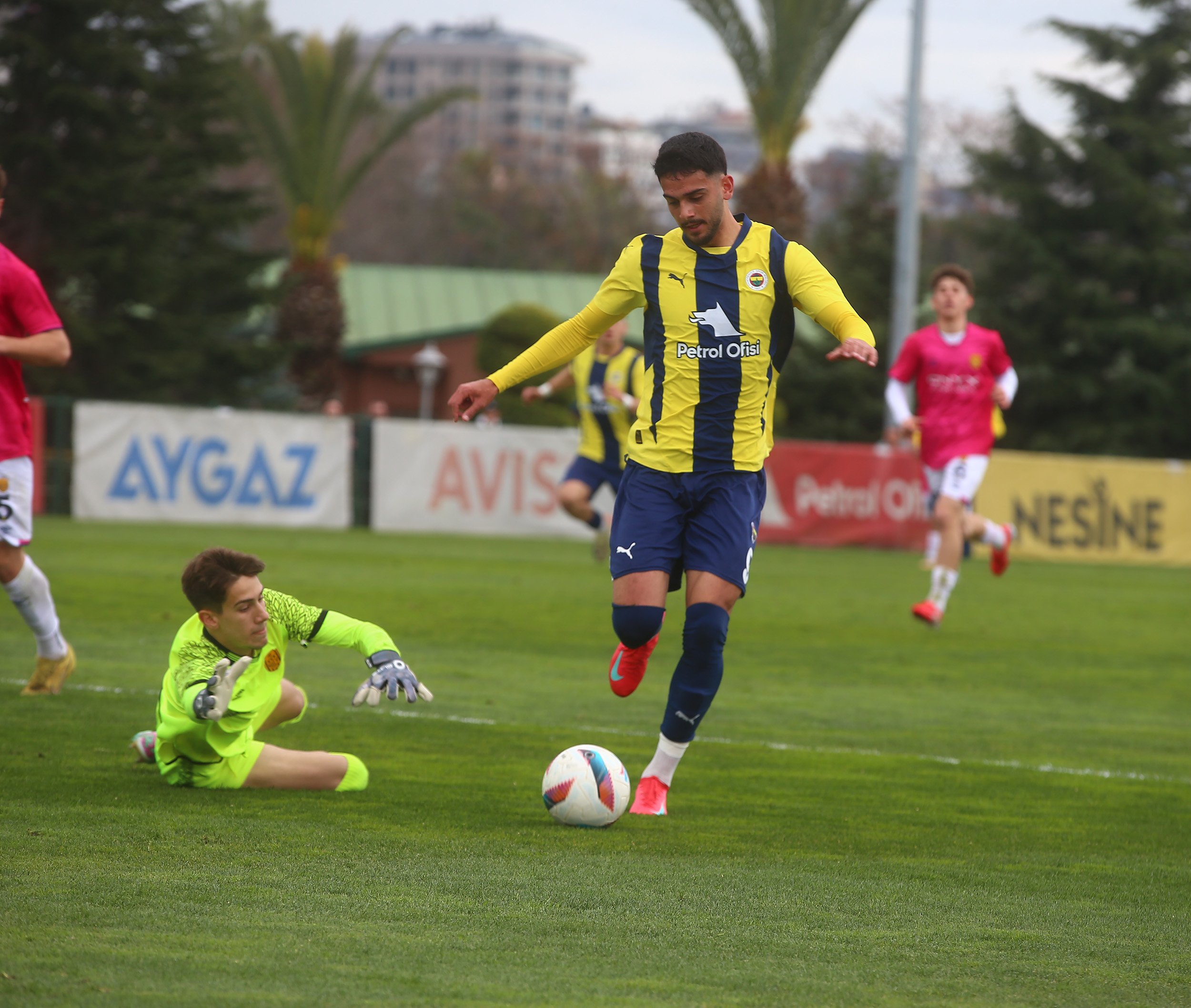 fenerbahce 3 1 ankaragucu u 19 2 f7X2wLqE